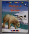Animals in the Snow Look  Learn About