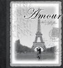 Amour Record Book