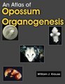 An Atlas of Opossum Organogenesis Opossum Development