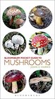 Pocket Guide to Mushrooms (Pocket Guides)