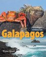 Galapagos A Traveler's Introduction