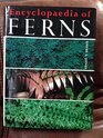 Encyclopaedia of Ferns