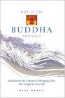 Why Is the Buddha Smiling Mindfulness As a Means of Bringing Calm and Insight to Your Life
