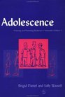 Adolescence Assessing and Promoting Resilience in Vulnerable Children 3