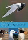 Gulls of the World A Photographic Guide