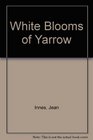 White Blooms of Yarrow