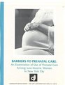 Barriers to Prenatal Care  An Examination of Use of Prenatal Care Among LowIncome Women in New York City