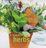 A Handful of Herbs Inspiring Ideas for Gardening Cooking and Decorating Your Home with Herbs