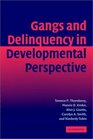 Gangs and Delinquency in Developmental Perspective