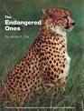 The Endangered Ones