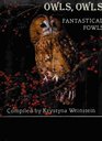 Owls owls fantastical fowls