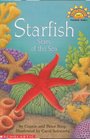 Starfish The Stars of the Sea