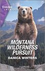 Montana Wilderness Pursuit (STEALTH: Shadow Team, Bk 6) (Harlequin Intrigue, No 2100)