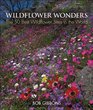 Wildflower Wonders The 50 Best Wildflower Sites in the World