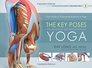 The Key Poses of Yoga: Scientific Keys, Volume II