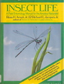 Insect Life A Field Entomology Manual for the Amateur Naturalist