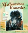 Yellowstone Memories 30 Years of Stories and Photos
