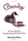 Bandy The True Tale of a Courageous Cape Cod Canada Goose