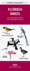 Florida Birds An Introduction to Familiar Species