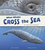 When Whales Cross the Sea The Grey Whale Migration