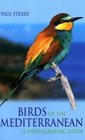 Birds of the Mediterranean A Photographic Guide