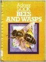A closer look at bees and wasps