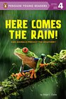 Here Comes the Rain Can Animals Predict the Weather