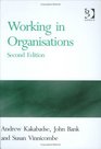 Working in Organisations