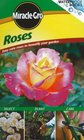 Roses EasyCare Roses to Beautify Your Garden