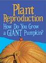 Plant Reproduction How Do You Grow a Giant Pumpkin