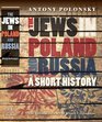 The Jews in Poland and Russia A Short History