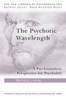 The Psychotic Wavelength A Psychoanalytic Perspective for Psychiatry