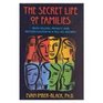 The Secret Life of Families TruthTelling Privacy and Reconciliation in a TellAll Society