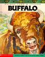Animal Lore and Legend Buffalo