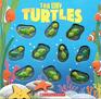 Ten Tiny Turtle