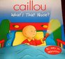 Caillou What's That Noise