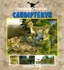 Dinosaur Profiles Caudipteryx