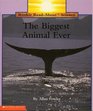 The Biggest Animal Ever