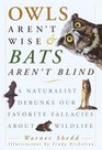 Owls Aren't Wise  Bats Aren't Blind  A Naturalist Debunks Our Favorite Fallacies About Wildlife