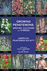 Growing Penstemons Species Cultivars and Hybrids