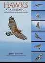 Hawks at a Distance Identification of Migrant Raptors
