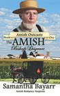 The Amish Bishop's Disgrace (Amish Outcasts)