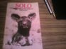 Solo Story of an African Wild Dog
