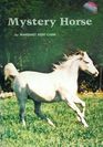 Mystery horse