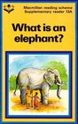 What is an Elephant