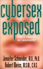 Cybersex Exposed Simple Fantasy or Obsession