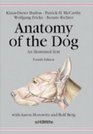 Anatomy of the Dog An Illustrated Text