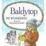 Baldytop A Christmas Fairy Tale
