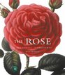 Rose A Colourful Inheritance