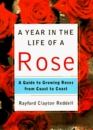 A Year in the Life of a Rose A Guide to Growing Roses from Coast to Coast